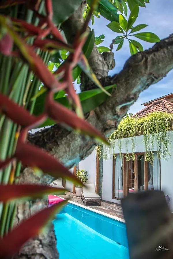 Elvano Villa In Heart Of Seminyak And Near Beach  Seminyak (Bali)